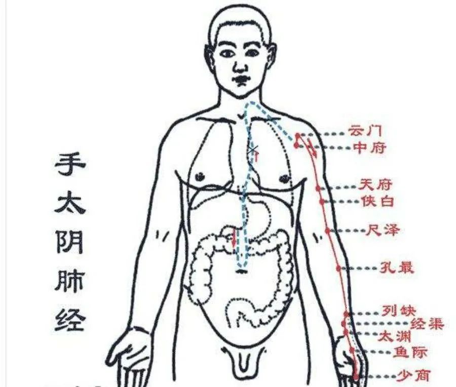 节气养生丨立秋至,季节转换凉风起,学点规矩保健康